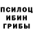 Псилоцибиновые грибы Cubensis Alex Sheviak