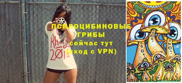 дмт Алзамай