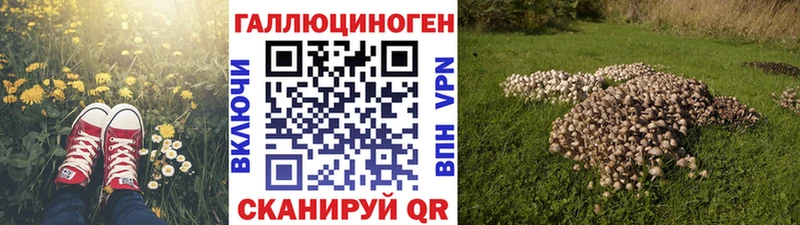 Псилоцибиновые грибы Magic Shrooms  купить закладку  Шахты 